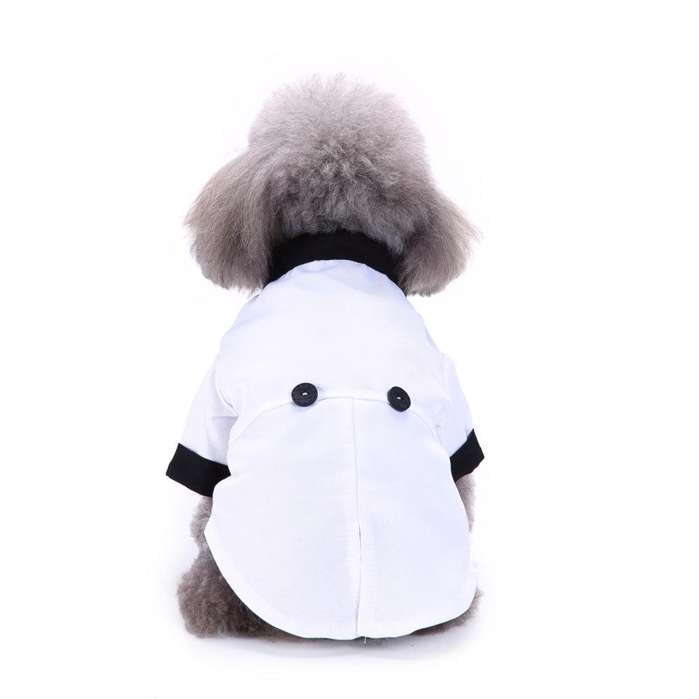 English Bulldog Pet Dog Suit