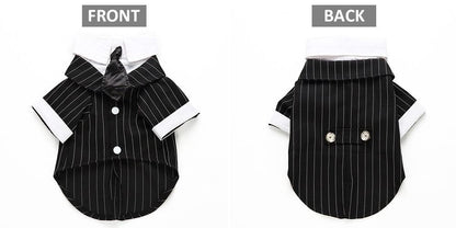 English Bulldog Pet Dog Suit