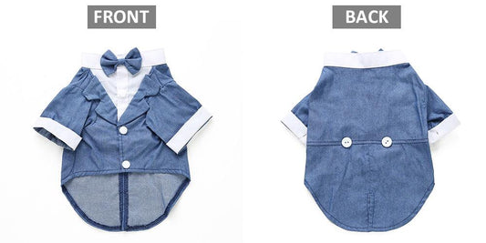 English Bulldog Pet Dog Suit