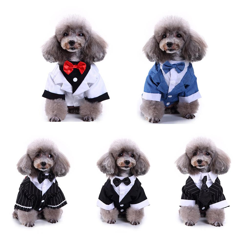 English Bulldog Pet Dog Suit