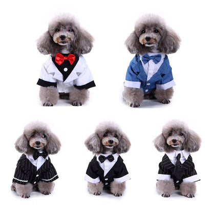English Bulldog Pet Dog Suit
