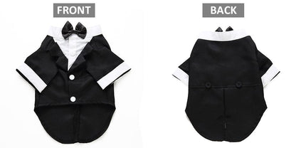 English Bulldog Pet Dog Suit