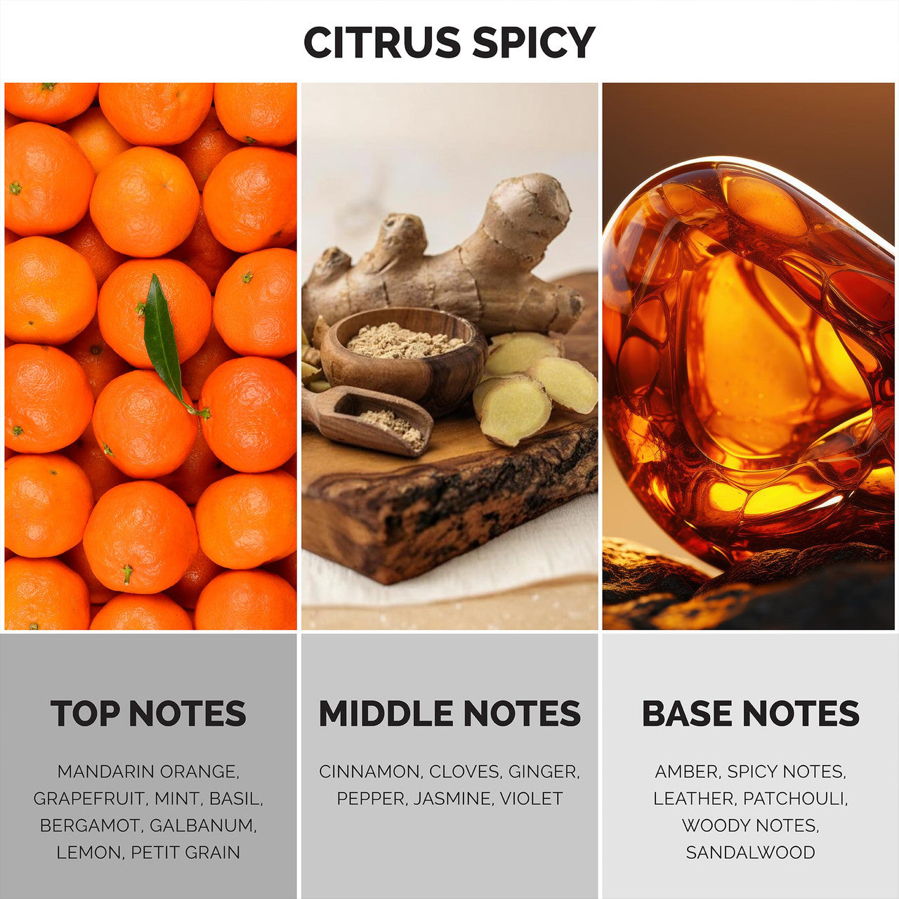 MAISON DE L'AVENIR AVENIR TRIUMPH EDP 3.4 U