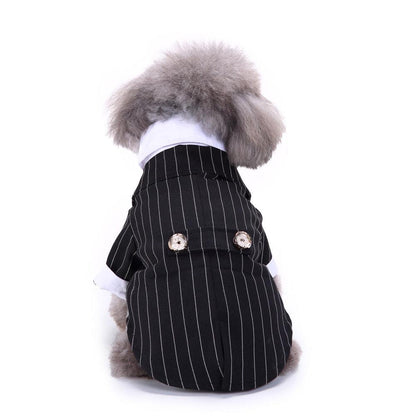 English Bulldog Pet Dog Suit