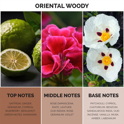 MAISON DE L'AVENIR OPULENT ODYESSY  EDP 3.4 U