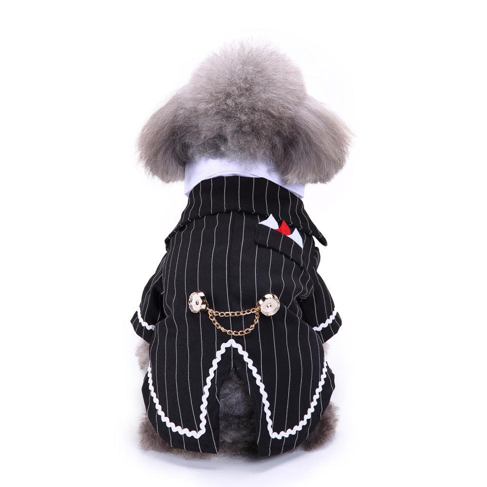 English Bulldog Pet Dog Suit