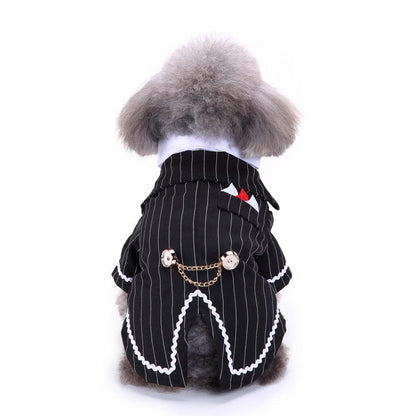 English Bulldog Pet Dog Suit