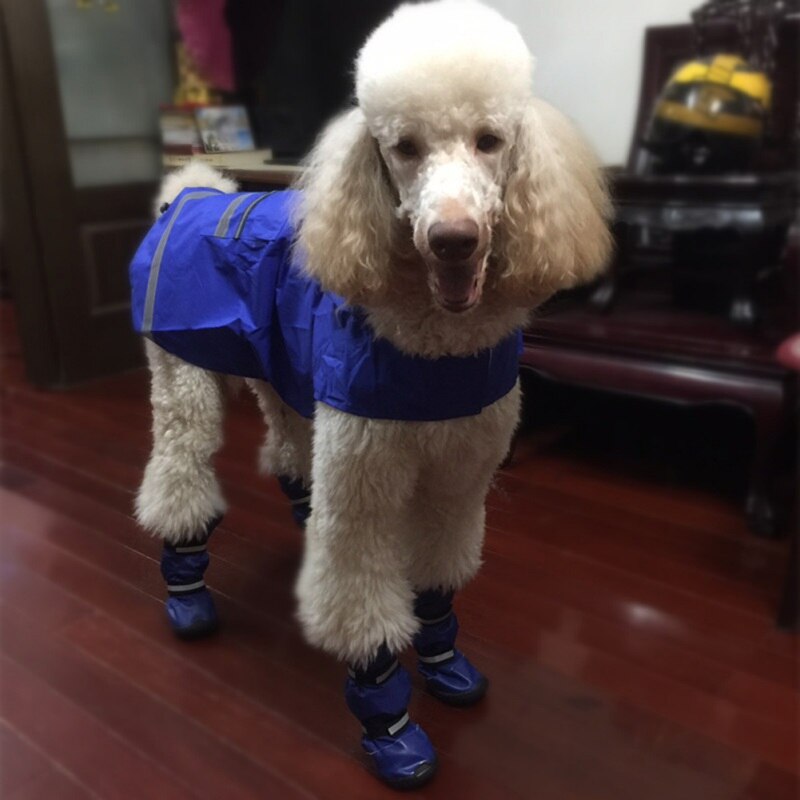 4pcs/set Antiskid Puppy Shoes Soft-soled Dog Shoes Waterproof Soft Pet Paw Care Pet Accessories Chihuahua Yorkie Shoes